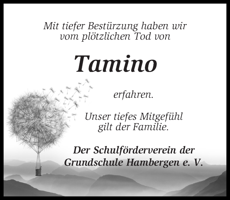  Traueranzeige für Tamino Holling vom 14.01.2020 aus Osterholzer Kreisblatt