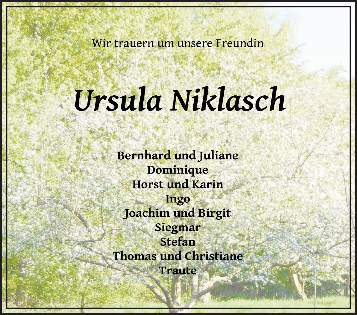  Traueranzeige für Ursula Niklasch vom 14.05.2022 aus Die Norddeutsche