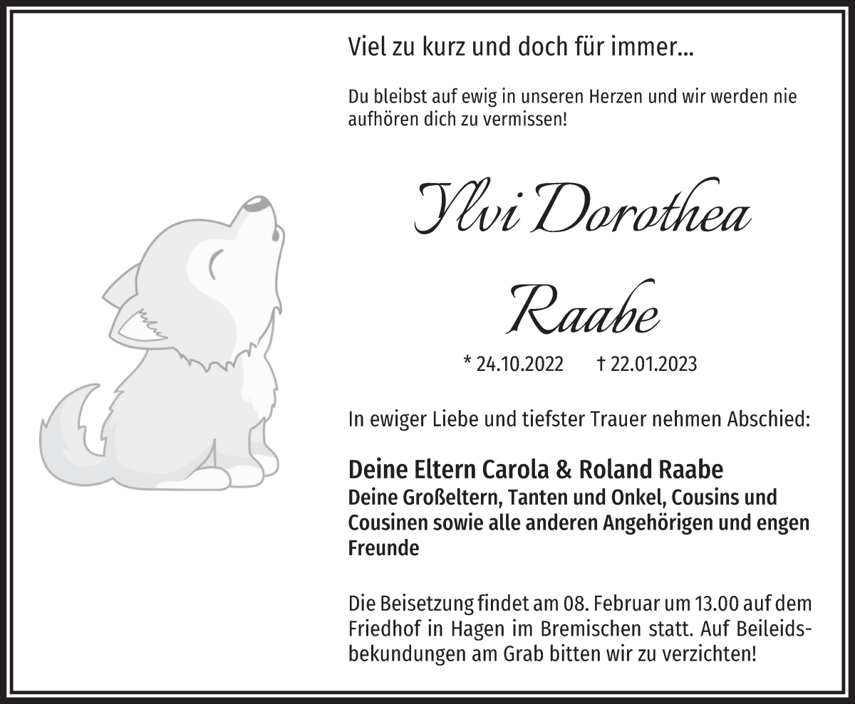  Traueranzeige für Ylvi Dorothea Raabe vom 04.02.2023 aus Osterholzer Kreisblatt